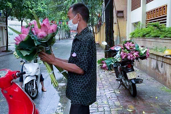 Người đàn ông nghèo Hải Dương bán hoa sen bị phạt, nhiều người thương cho tiền