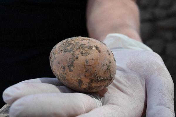 Phát hiện quả trứng 1.000 năm tuổi còn gần như nguyên vẹn