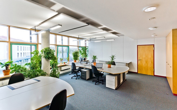 ‘Văn phòng xanh’ - không gian làm việc tràn năng lượng