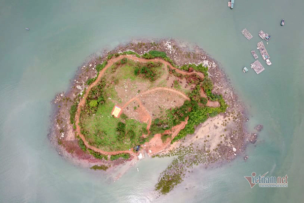 Đảo nguyên sinh ở biên giới Quảng Ninh bị cạo trọc