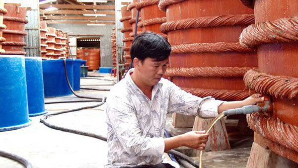Phu Quoc fish sauce making becomes national intangible cultural heritage