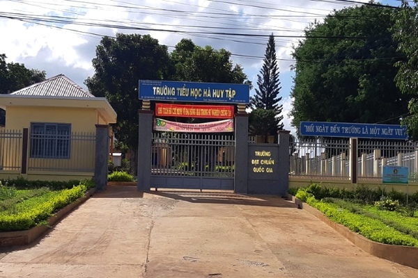 Xác minh thông tin Hiệu trưởng giữ học bạ vì học sinh không có tiền nộp quỹ