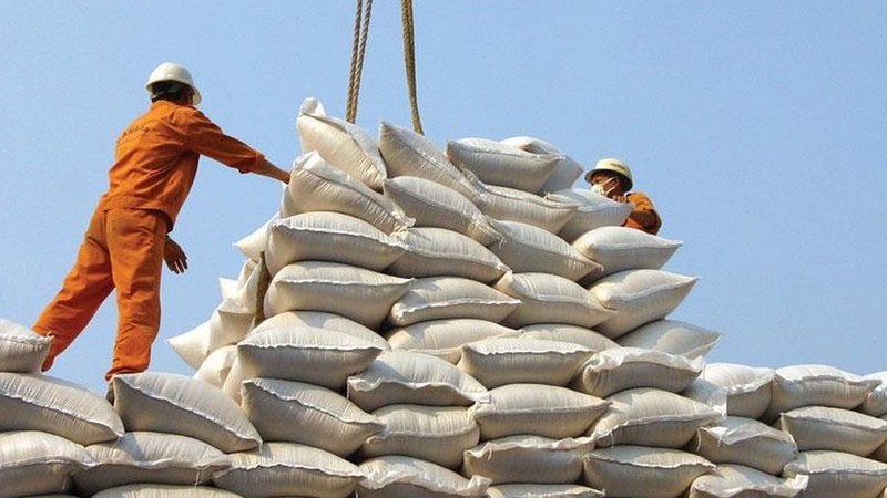 Chưa từng có: Việt Nam nhập gạo Ấn Độ tăng gấp 3.200 lần
