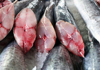 Chủ hàng hải sản mách cách chọn cá thu tươi không bị ướp đạm