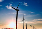 Wind power fuels green growth in Vietnam: IFC