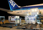 Batch of COVID-19 vaccine donated by Japan arrives in Vietnam