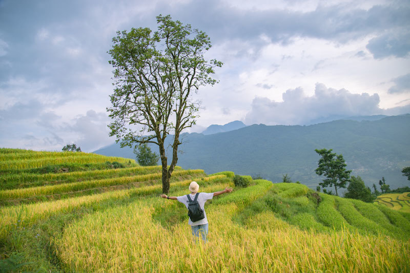 Người Việt mới, thích đi chơi đó đây hơn kiếm tình yêu đích thực