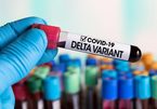WHO cảnh báo về biến thể Delta, ca mắc Covid-19 ở Indonesia tăng vọt