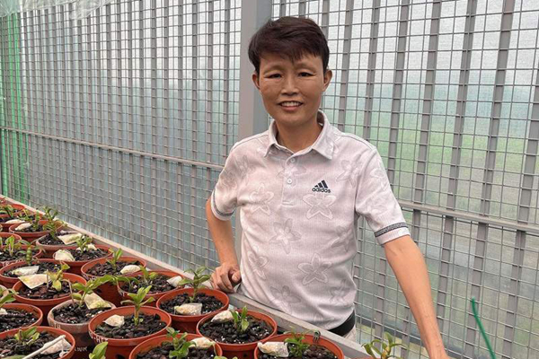 Kinh nghiệm chăm sóc hoa lan từ ông chủ vườn ở Thái Nguyên