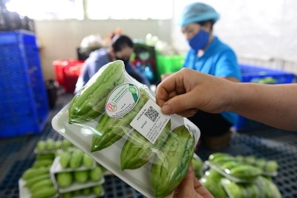 Thanh Hóa triển khai Đề án đổi mới kinh doanh, tiêu thụ nông sản giai đoạn 2021-2025
