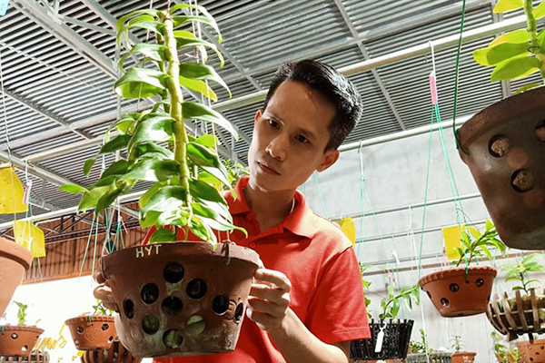 Chăm lan khỏe đẹp theo cách của chủ vườn ở Bắc Kạn