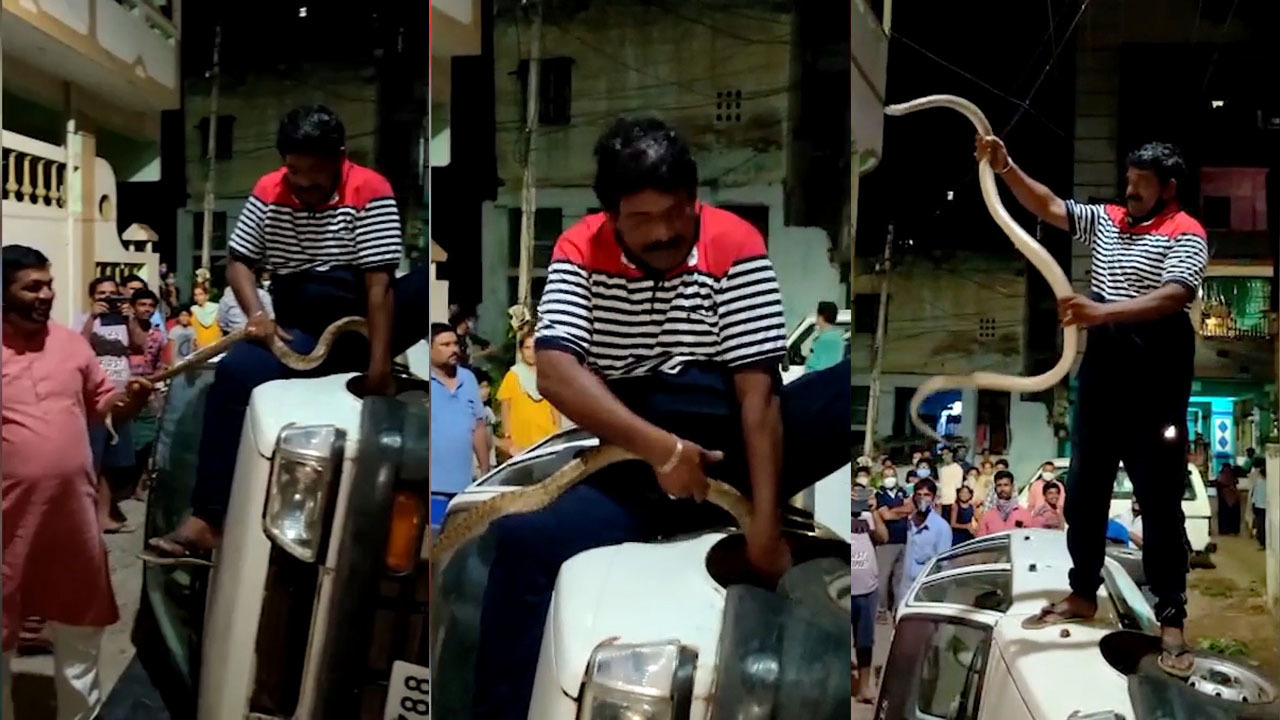 La hét hoảng sợ trước cảnh bắt rắn từ bánh xe ô tô