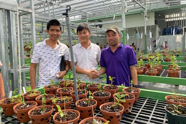 Bí quyết chăm sóc lan trong mùa mưa