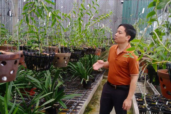 Vườn lan xanh mướt của 7X Hà Tĩnh