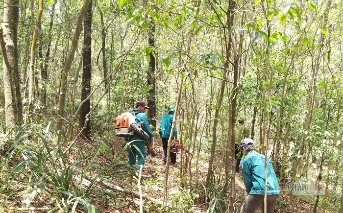 Kiểm lâm Quảng Trị lập hồ sơ khống, sai phạm hơn 1 tỷ đồng