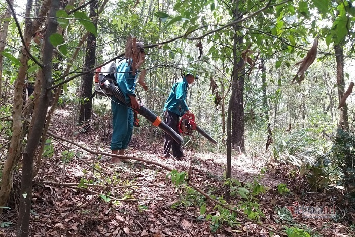 Đu bám vách đá cheo leo vào canh lửa cho rừng đặc dụng