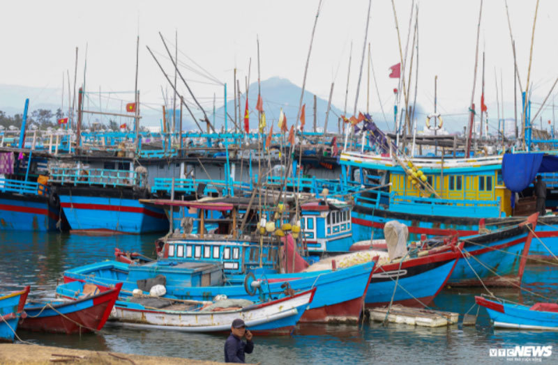Nỗi buồn của ngư phủ nơi khai sinh nghề câu cá ngừ đại dương ở Việt Nam