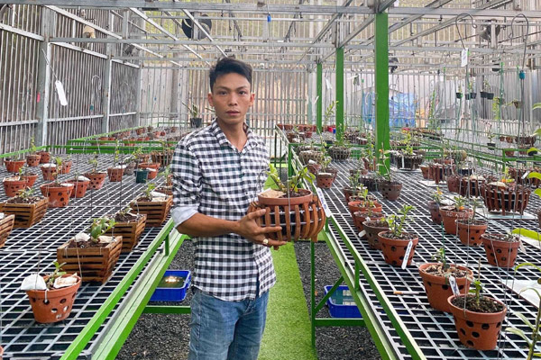 Ở nhà mùa dịch, gây dựng được vườn lan quý ở Bình Phước