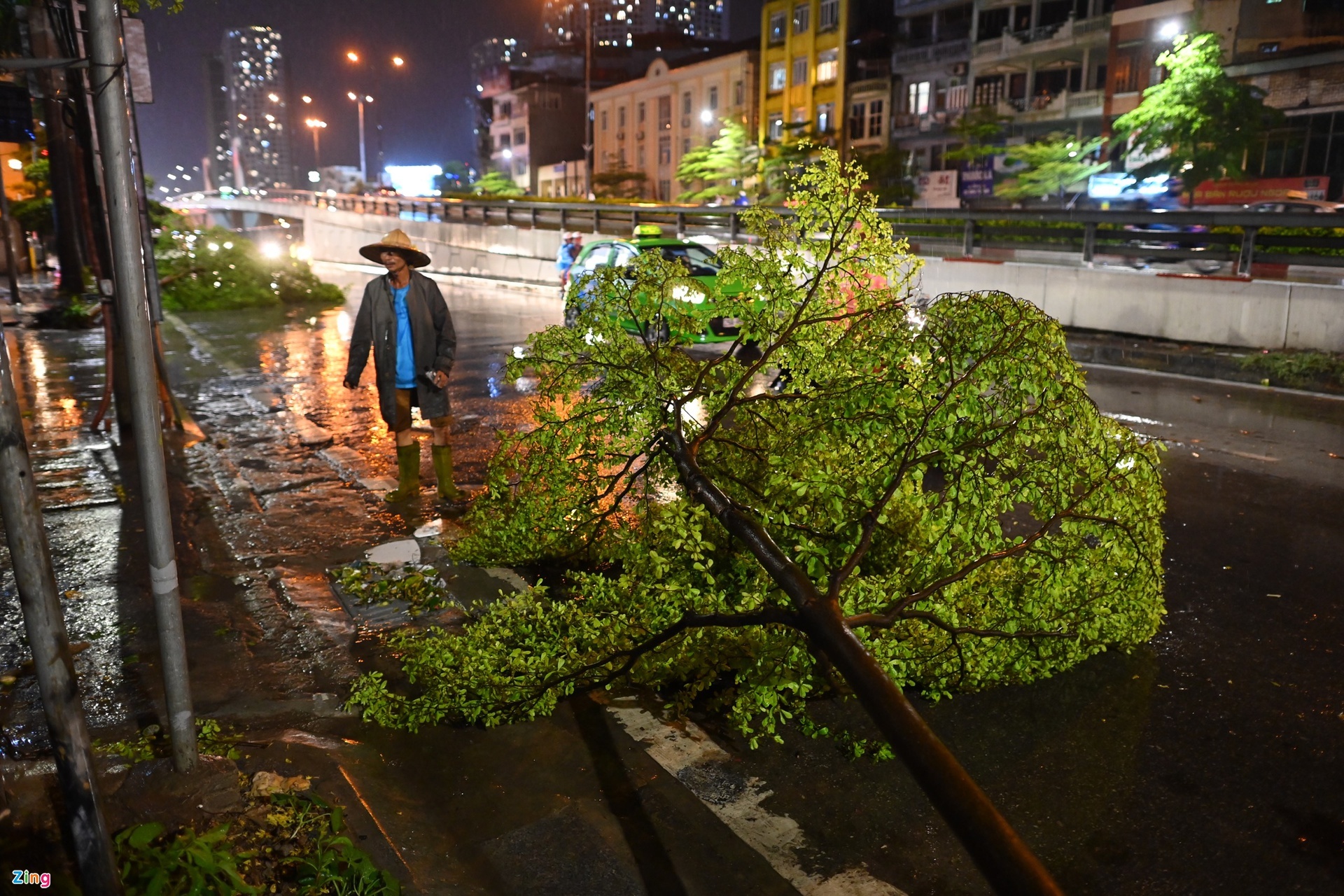 Mưa to, cây cối đổ rạp khắp phố phường Hà Nội