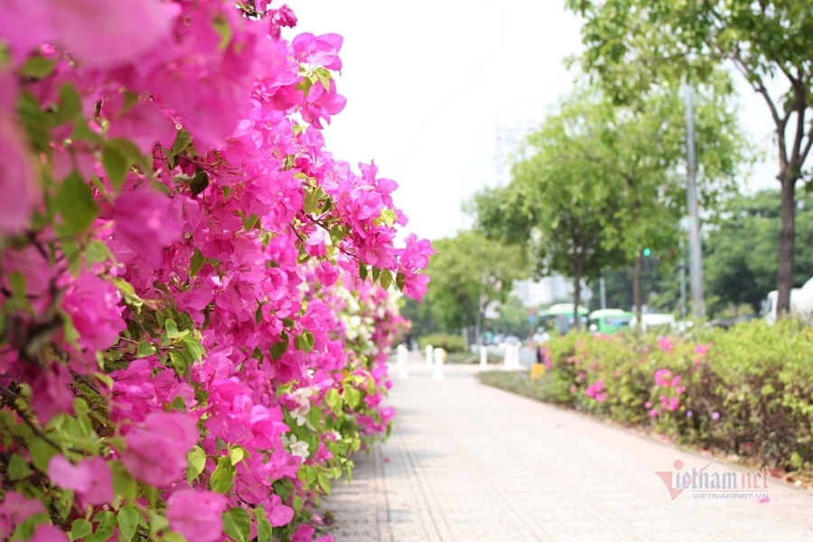 Yêu thật lòng nhưng tôi đau đớn nhận ra mình chỉ là người 'thế thân'