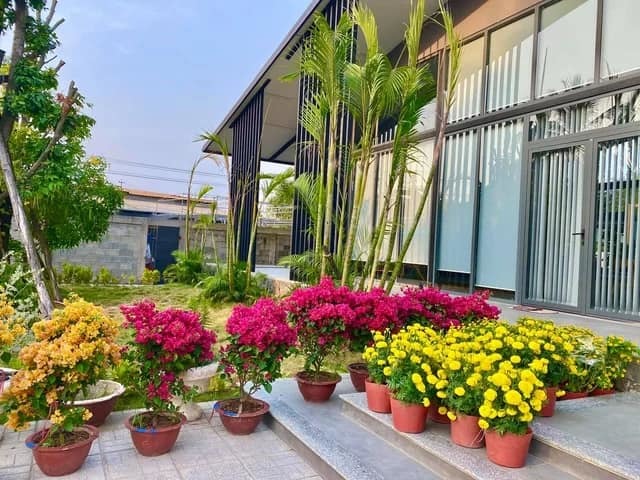 Biệt thự vườn dựng bằng sắt, trong nhà vẫn mát mẻ nhờ cây xanh bao phủ