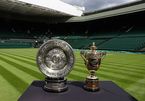 Lịch thi đấu tennis đơn nam Wimbledon: Bán kết vào ngày 9/7