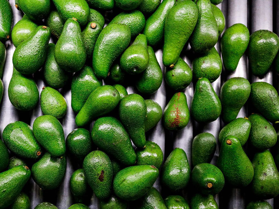 Bất ngờ loại quả 'rẻ bèo' ở Việt Nam, sang nước ngoài là 'vàng xanh'