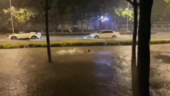 Mưa lớn ngập sâu, người dân tranh thủ tập bơi giữa đường