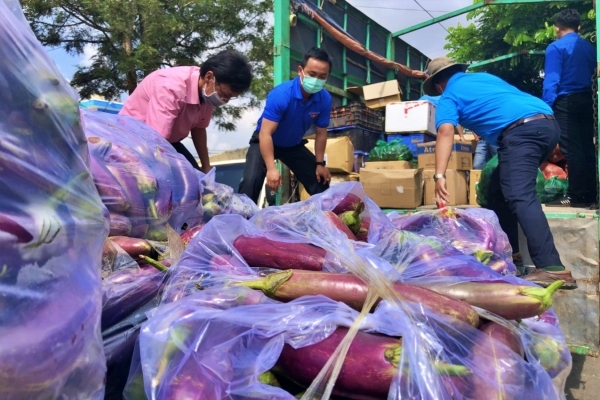 Người Lâm Đồng gửi 200 tấn rau củ tươi ngon hỗ trợ TP.HCM