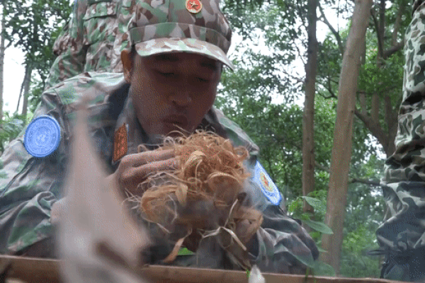 ‘Lính mũ nồi xanh’ vào rừng săn bắt, hái lượm huấn luyện sinh tồn
