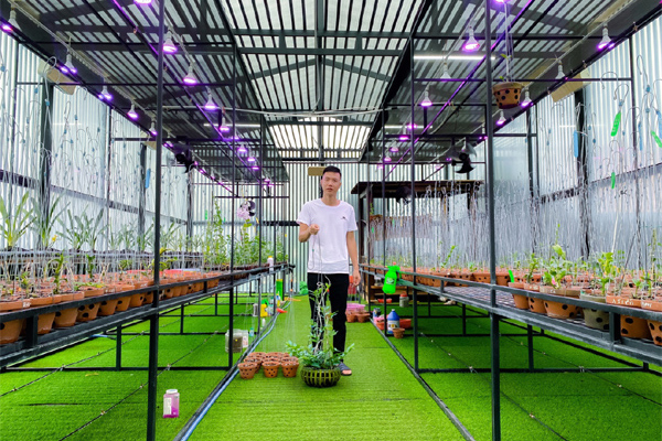 Vườn lan quý 1.000 m2 của ông chủ trẻ ở Đắk Nông