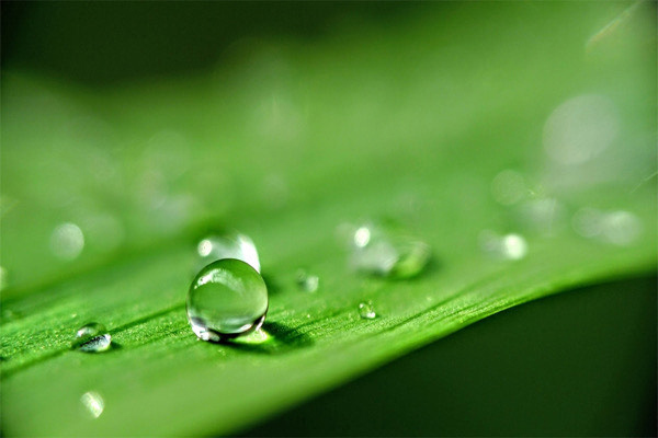 ‘Khí chất’ phi thường của... giọt nước khoáng