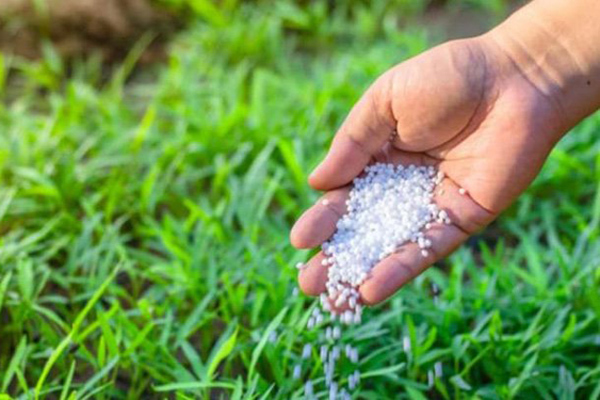 Giá phân bón thế giới tiếp tục tăng ‘nóng’