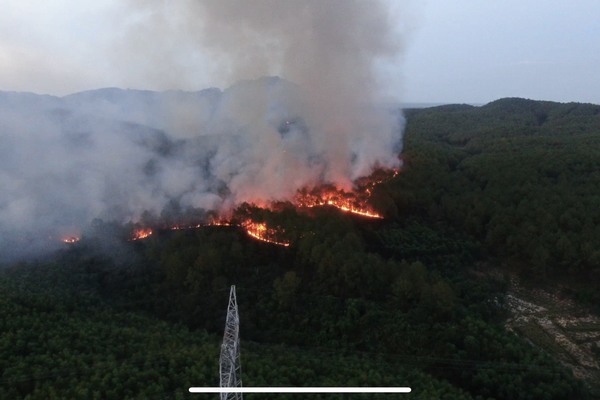 Cháy rừng ở Huế, đường dây điện quốc gia gặp nguy hiểm