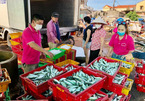 Ân tình Quảng Bình: Hàng tấn cá biển gửi vào tâm dịch TP.HCM