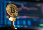 Giá Bitcoin bật tăng lên từ đáy