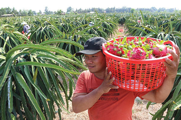 Stimulus sustained to ensure business performance revival