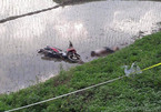 Thi thể nam thanh niên bên xe máy dưới ruộng lúa ở Hà Nội