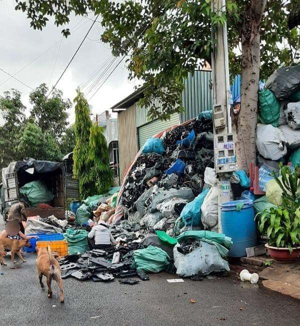 Khổ sở vì hàng xóm thu gom phế liệu bốc mùi hôi nồng nặc