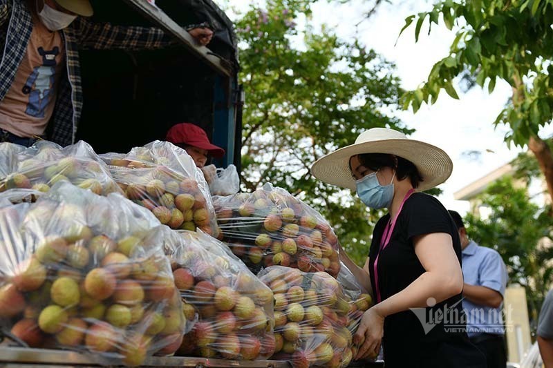 Chung tay giúp Bắc Giang sớm tháo gỡ khó khăn trong việc tiêu thụ nông sản
