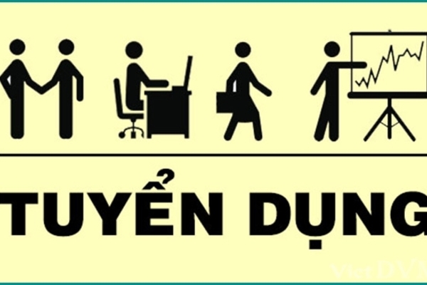 Tuyển dụng nhân viên Hỗ trợ kinh doanh