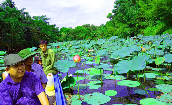 Mekong Delta’s unique nature reserve to be opened for visitors’ exploration