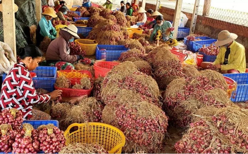 Lychees and the agricultural revolution in Vietnam