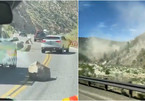 Video hàng chục khối đá lăn xuống đường cao tốc do động đất