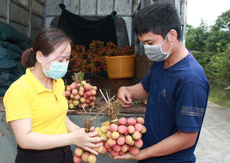 Hàng Việt phủ sóng kênh thương mại điện tử