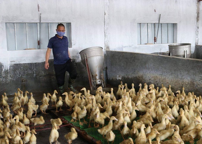 Xã Vũ Bảo quyết tâm phòng chống cúm gia cầm, không để “dịch chồng dịch”