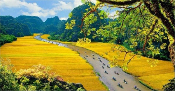 Top destinations in Vietnam recommended for foreign travelers