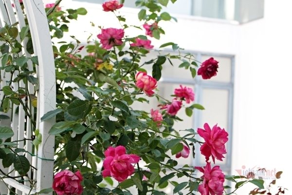 Nàng dâu 'bỏ của chạy lấy người' khi nghe bố chồng chỉ con trai cách dạy vợ