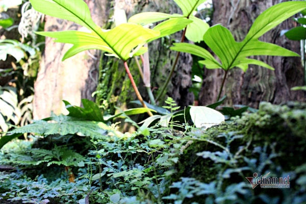 Tôi tình cờ phát hiện video vợ tự thỏa mãn trong phòng ngủ