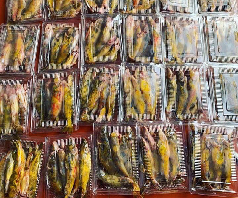 Của hiếm sông Đà: Loài cá vàng óng, muốn ăn phải đặt trước nửa năm